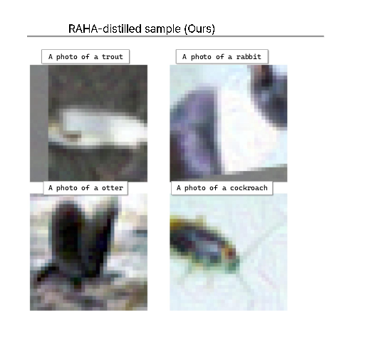 RAHA-distilled samples on CIFAR-100.
