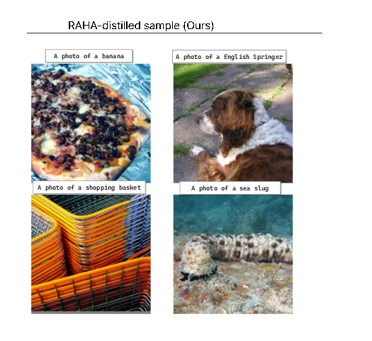 RAHA-distilled samples on ImageNet-1K.
